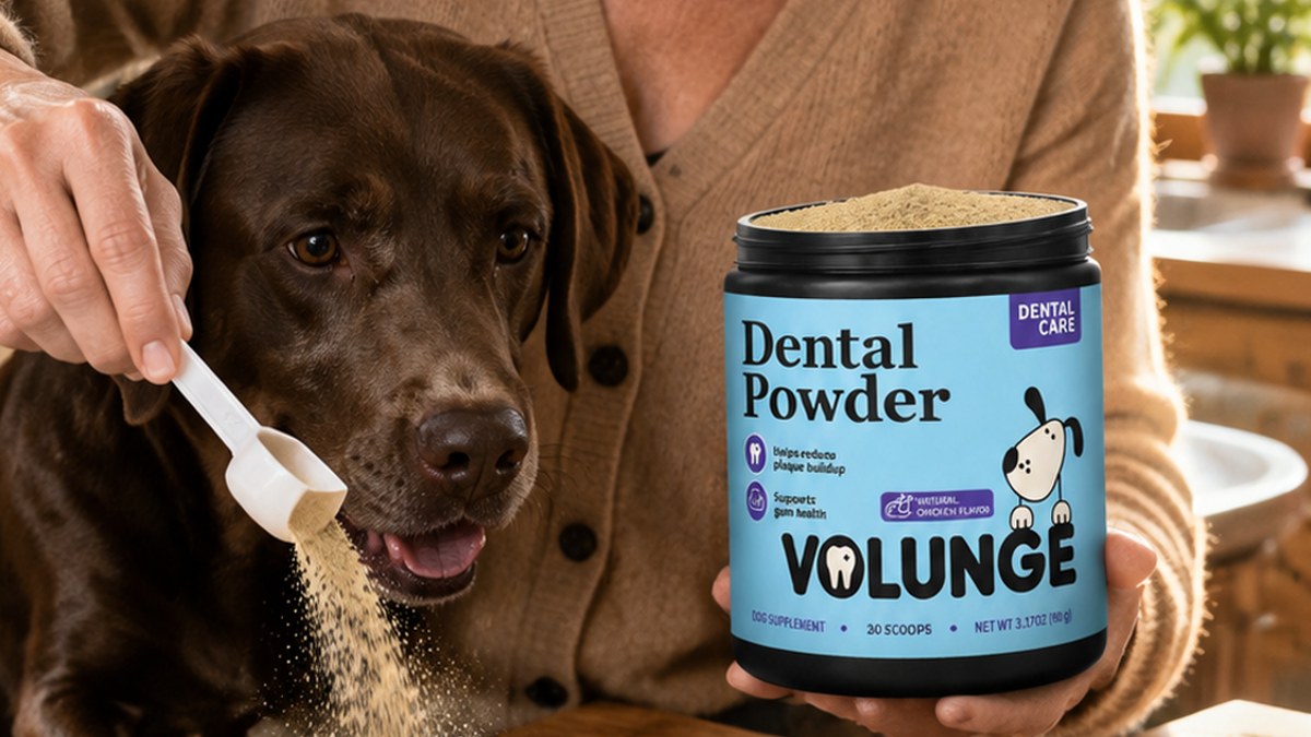 Dental Chews vs Dental Powder for Dogs: What Is Different?