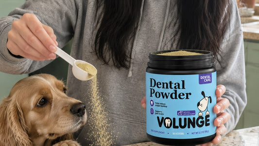 Dog Dental Powder Ingredients: How to Read the Label