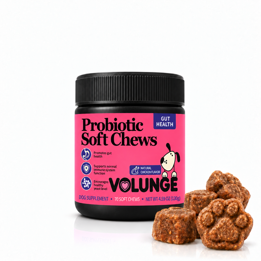 130g Dog Probiotic Soft Chews, Gut Health & Digestive Support Supplement with Probiotics, Pumpkin, Brewer's Yeast & Colostrum, Healthy Stool Support, Chicken Flavor