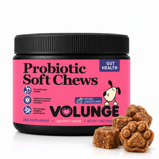 Dog Probiotic Soft Chews, Gut Health & Digestive Support Supplement with Probiotics, Pumpkin, Brewer's Yeast & Colostrum, Healthy Stool Support, Chicken Flavor, 120 Count