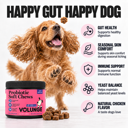 Dog Probiotic Soft Chews, Gut Health & Digestive Support Supplement with Probiotics, Pumpkin, Brewer's Yeast & Colostrum, Healthy Stool Support, Chicken Flavor, 120 Count