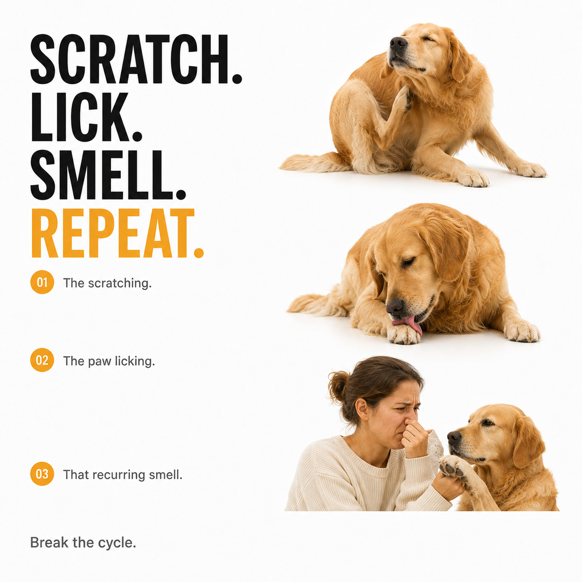 VOLUNGE Daily Drops for Itchy Dogs | Paws, Ears & Skin Support