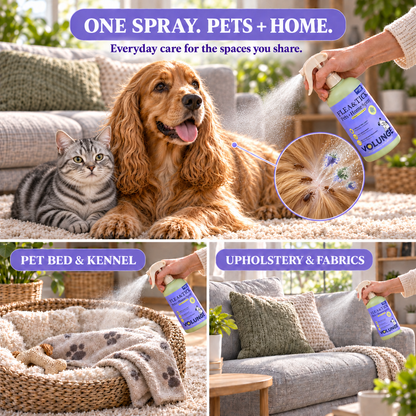 300ml Pet Flea & Tick Care Spray for Dogs & Cats, Rosemary-Scented Grooming Mist with Botanical Extracts, Daily Coat Refresh & Seasonal Pest Care