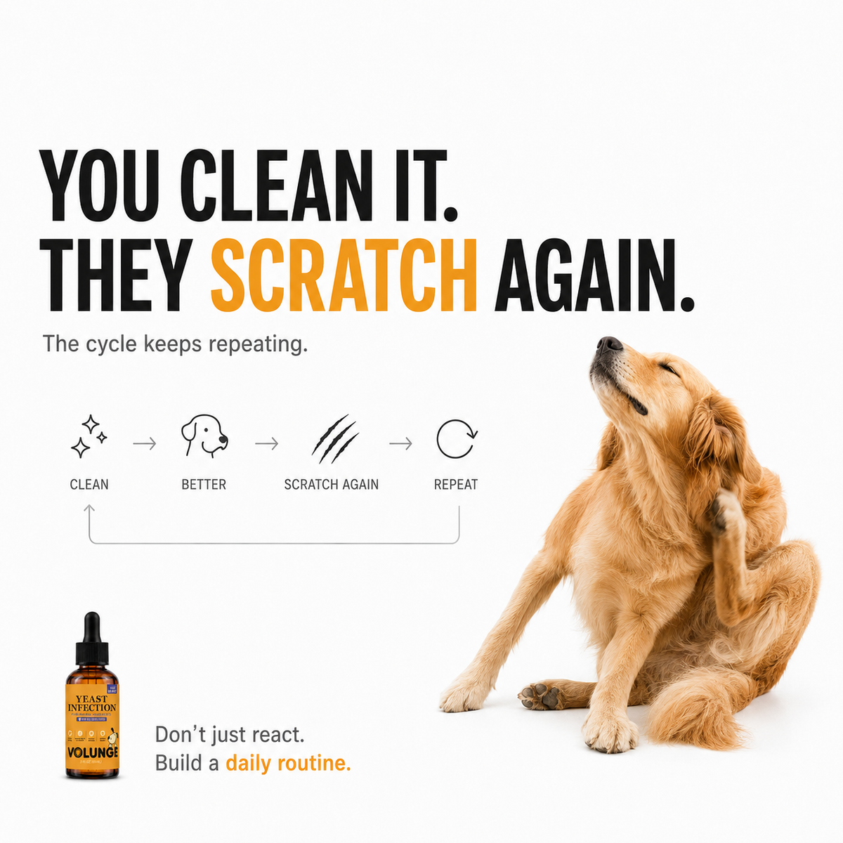 VOLUNGE Daily Drops for Itchy Dogs | Paws, Ears & Skin Support