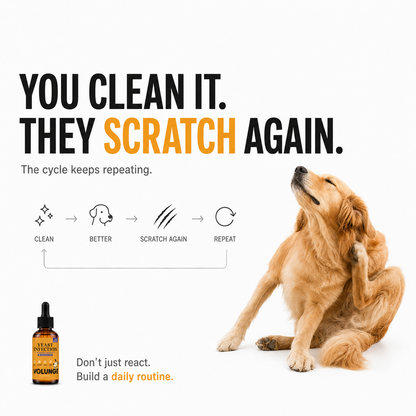 VOLUNGE Daily Drops for Itchy Dogs | Paws, Ears & Skin Support
