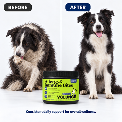 Dog Immune Support Soft Chews, Seasonal Comfort & Digestive Balance Supplement with Colostrum, Fish Oil, Probiotics & Vitamins, Chicken Flavor, 120 Count