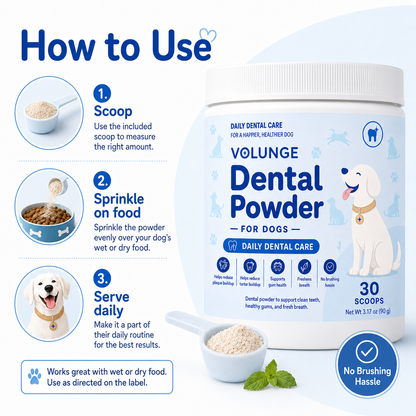 Daily Dental Care Made Easier for Dogs
