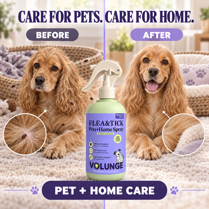 300ml Pet Flea & Tick Care Spray for Dogs & Cats, Rosemary-Scented Grooming Mist with Botanical Extracts, Daily Coat Refresh & Seasonal Pest Care