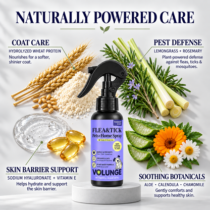 100ml Pet Flea & Tick Care Spray for Dogs & Cats, Rosemary-Scented Grooming Mist with Botanical Extracts, Daily Coat Refresh & Seasonal Pest Care