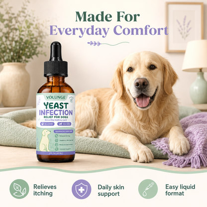 Dog Skin & Coat Support Liquid Supplement, Daily Itch Comfort Care Formula, Soothing Herbal Blend for Dogs of All Ages, 60ml