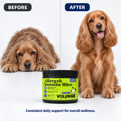 Dog Immune Support Soft Chews, Seasonal Comfort & Digestive Balance Supplement with Colostrum, Fish Oil, Probiotics & Vitamins, Chicken Flavor, 120 Count