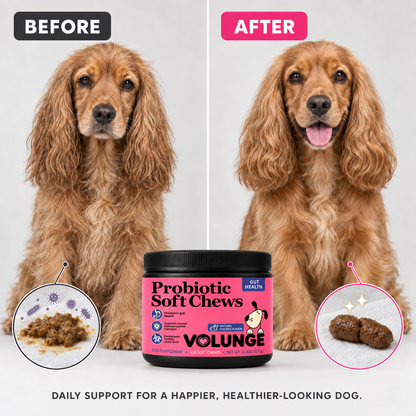 Dog Probiotic Soft Chews, Gut Health & Digestive Support Supplement with Probiotics, Pumpkin, Brewer's Yeast & Colostrum, Healthy Stool Support, Chicken Flavor, 120 Count