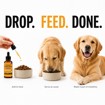 VOLUNGE Daily Drops for Itchy Dogs | Paws, Ears & Skin Support