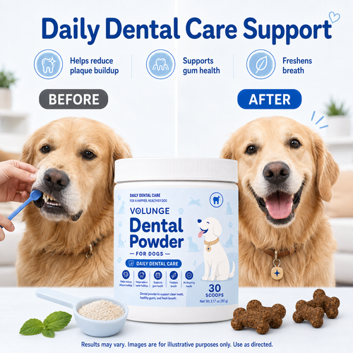 Daily Dental Care Made Easier for Dogs