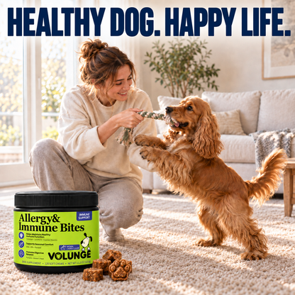 Dog Immune Support Soft Chews, Seasonal Comfort & Digestive Balance Supplement with Colostrum, Fish Oil, Probiotics & Vitamins, Chicken Flavor, 120 Count