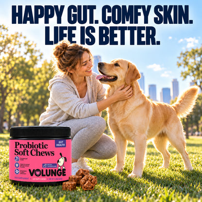 Dog Probiotic Soft Chews, Gut Health & Digestive Support Supplement with Probiotics, Pumpkin, Brewer's Yeast & Colostrum, Healthy Stool Support, Chicken Flavor, 120 Count