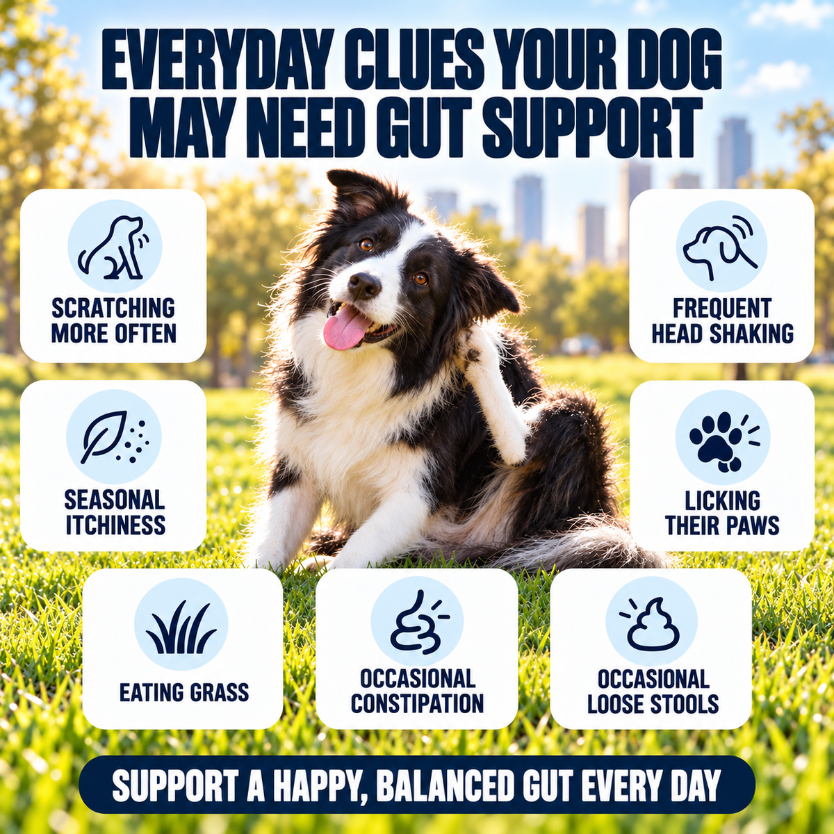 Dog Probiotic Soft Chews, Gut Health & Digestive Support Supplement with Probiotics, Pumpkin, Brewer's Yeast & Colostrum, Healthy Stool Support, Chicken Flavor, 120 Count