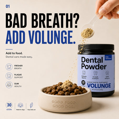 VOLUNGE Dog Dental Powder | Daily Breath & Plaque Care