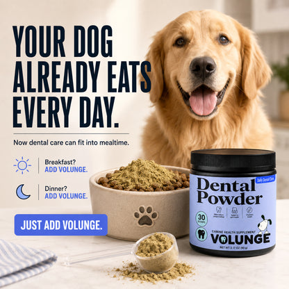 VOLUNGE Dog Dental Powder | Daily Breath & Plaque Care
